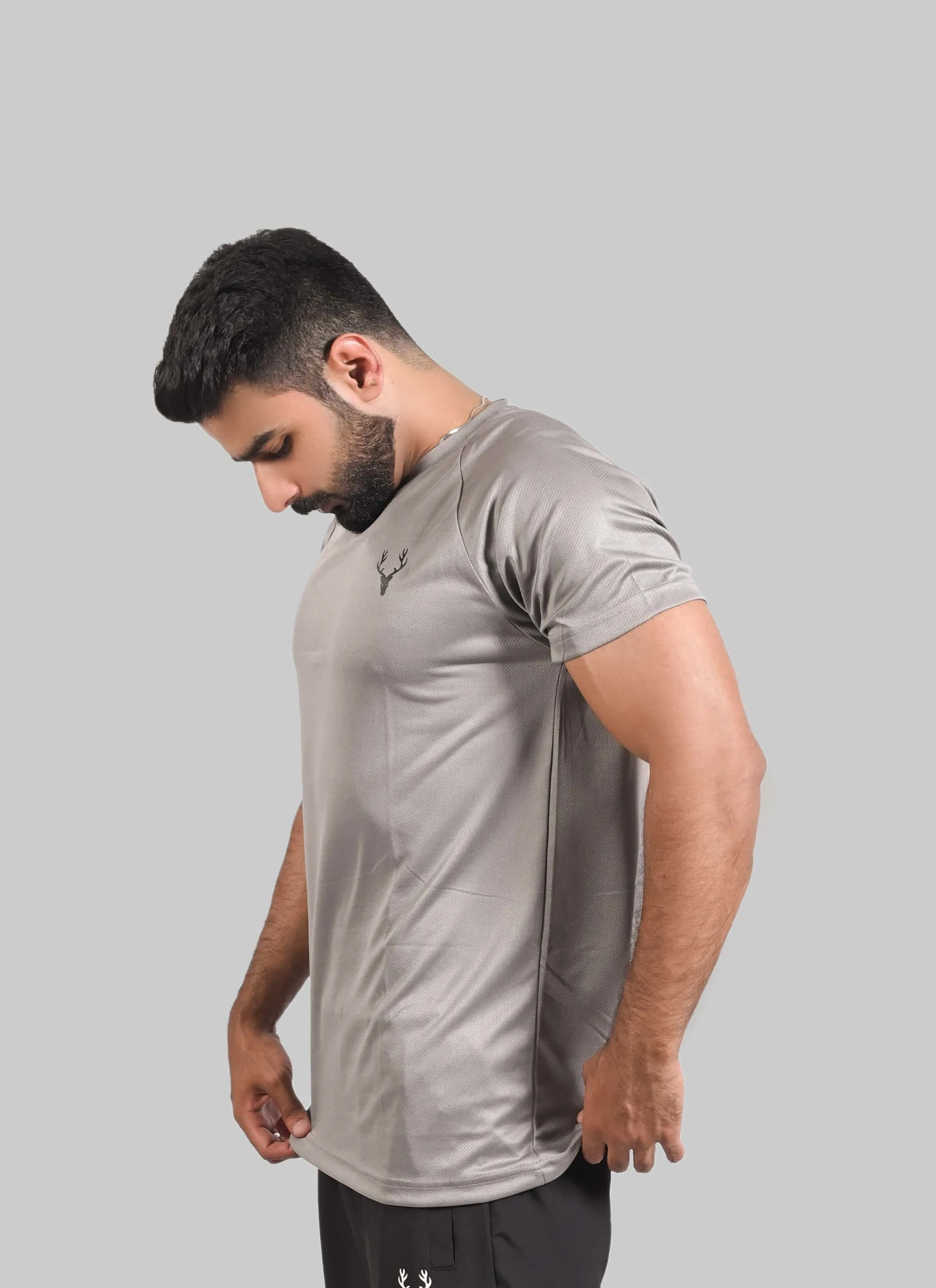 Dri-Fit Apex Raglan Tee 2.1 (SILVER GREY)