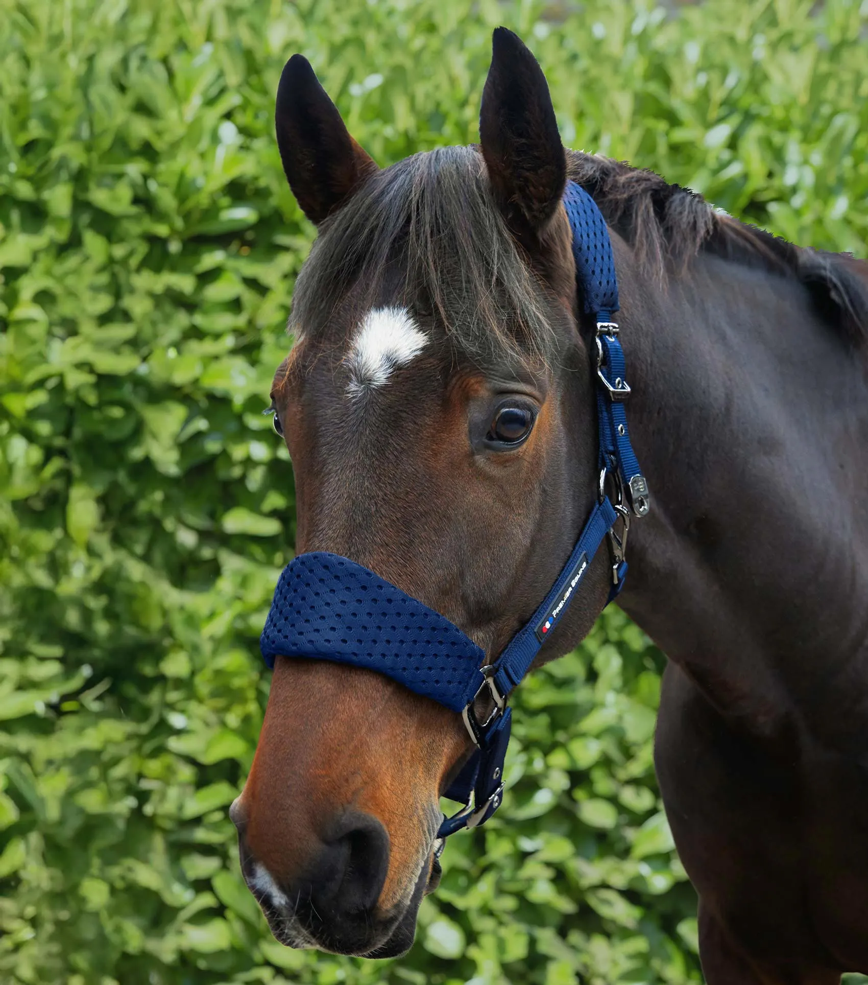 Necto 3D Mesh Head Collar with Lead Rope Navy