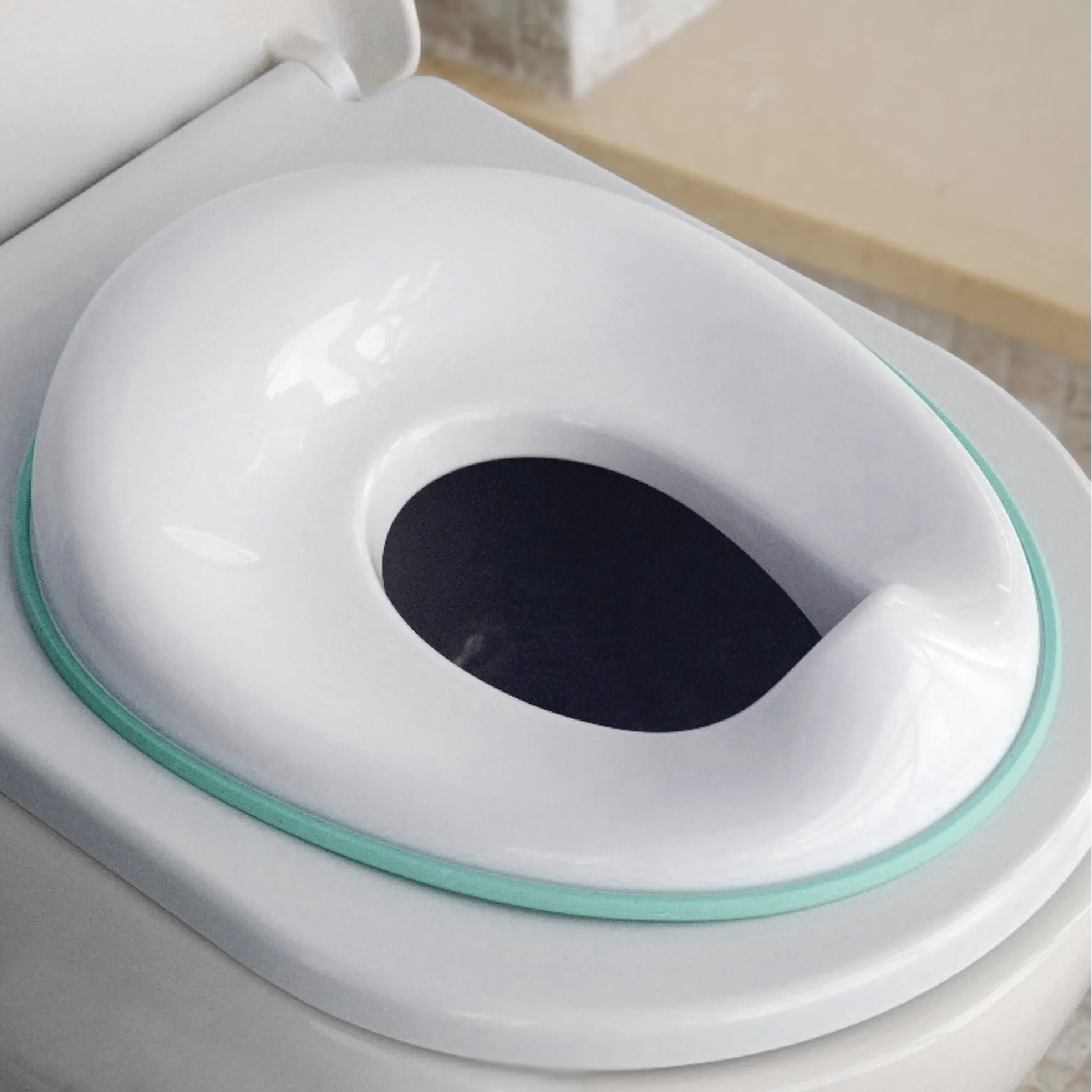 Potty Training Seat